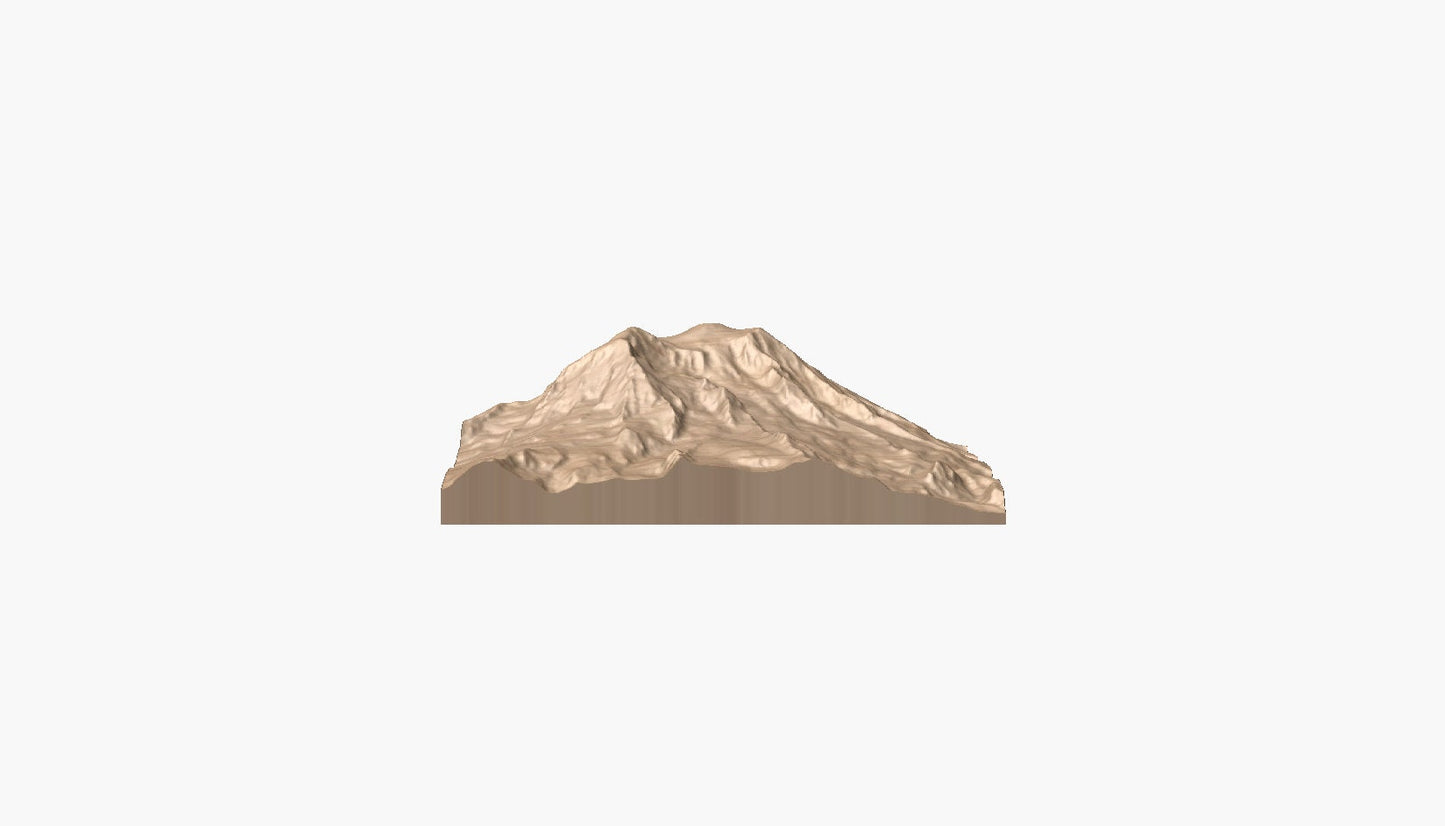 Mt. Rainier  Washington  3D Model  STL and Grayscale