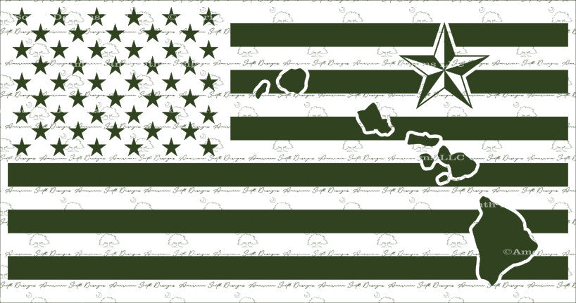 American Flag with Hawaii State and One Star Rank